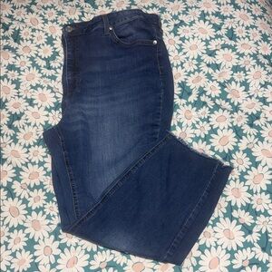 LC Lauren Conrad Medium Blue Denim Jeans